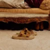 Arpoador Suede Tent Cognac Arpoador Suede Tent Cognac